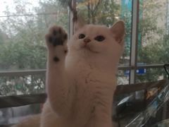-鹏欣水游城