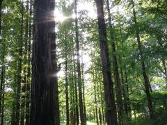 -国家植物园南园