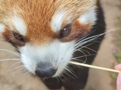 -云南野生动物园