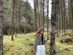 -硗碛藏寨·神木垒景区