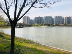 -南翔镇银翔湖公园