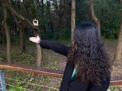 -昆山城市生态森林公园