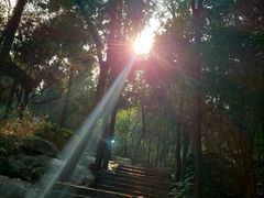 -云龙山