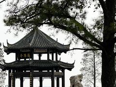 -东湖落雁景区