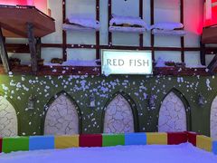 -世界之窗阿尔卑斯冰雪世界