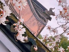 -常熟方塔园