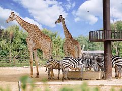 -济南野生动物世界