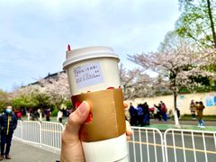 -鸡鸣赐茶(鸡鸣寺路店)