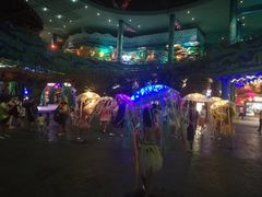 -青岛嘉年华主题乐园