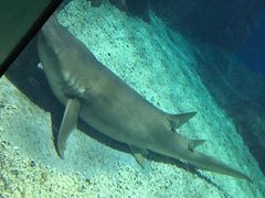 -福州罗源湾海洋世界旅游区