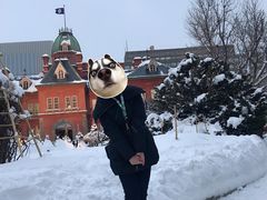 -北海道厅旧本厅舍(旧本庁舎)