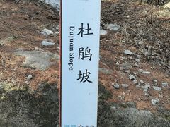 -崂山巨峰游览区