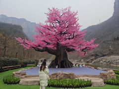 -河南宝泉旅游区
