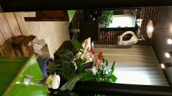 android_upload_pic-P.STYLE 派斯造型