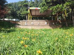 -北京西山国家森林公园