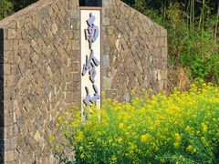 -桑洲油菜花景区