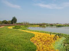 -呈贡滇池生态湿地公园