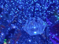 -苏州5D星空错觉艺术馆