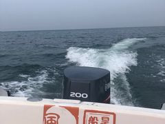 -棒棰岛宾馆景区