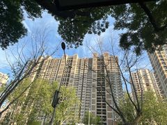 -奥体中心游泳馆