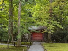 -三千院