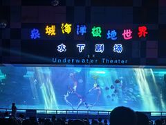 -泉城欧乐堡海洋极地世界