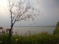 iphone_upload_pic-漕湖湿地公园