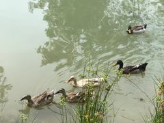 -牛岗山公园