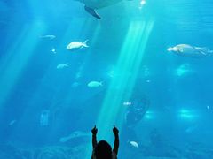 -福州罗源湾海洋世界旅游区