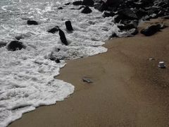 -玫瑰海岸文化旅游度假区