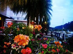 -真浪花园海鲜餐馆
