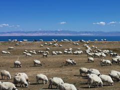 -青海湖国家重点风景名胜区