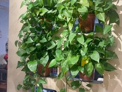 -A8小馆·海鲜烧烤(樱珠苑小区店)