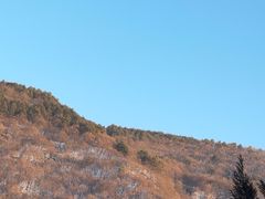 -黄龙山原始森林景区