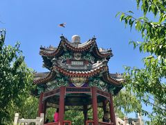 -皇家御河游(紫御湾码头)