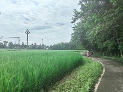 -桤木河湿地公园