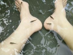 -三亚珠江南田温泉度假区