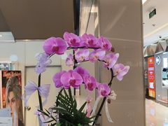 -福田卓悦INTOWN购物中心