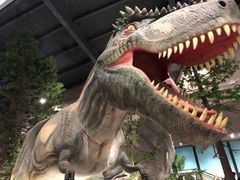 -湖南省地质博物馆