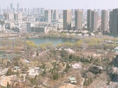 -君悦酒店·乐厨·高空自助餐(青年大街店)