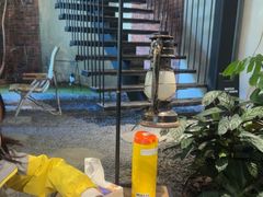 -J Create城市露营咖啡·简餐·宠物(上海动物园店)