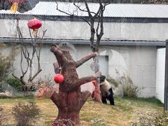 -无锡动物园·太湖欢乐园