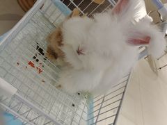 -怪兽屋·羊驼·猫咖·狗咖(俊华广场店)