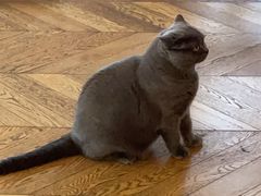 -Me Coffee下午茶艺术空间