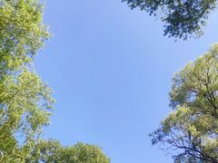 -长春市南湖公园