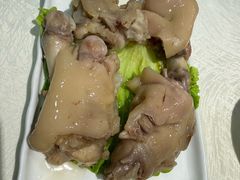 -丁老爷子苏香圆