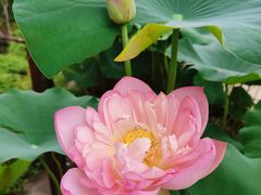 -桃源居(蠡园店)