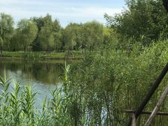 -东郊湿地公园