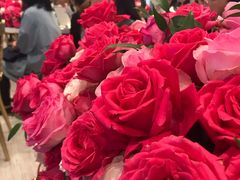 -长沙尼依格罗酒店