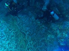 -迪拜水族馆及水下动物园